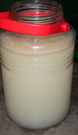 �o�C�I�f�B�[�[�����p�t�����O