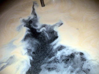 �o�C�I�f�B�[�[�����p�t�������摜