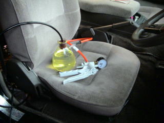 �o�C�I�f�B�[�[���R���^���N���R���̊ώ@�摜