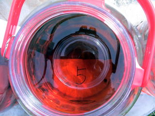 �a�c�e���Y�Z�@�@�W�{�@��T