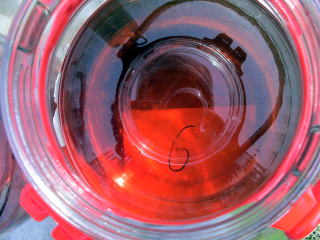 �a�c�e���Y�Z�@�@�W�{�@��U