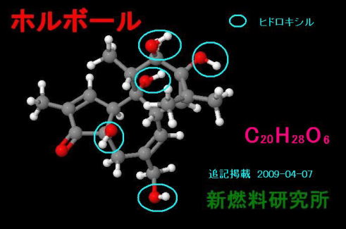 �W���g���t�@�̓Ő�