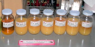 �o�C�I�f�B�[�[���ቷ�΍�����摜