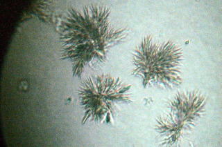 �a�c�e�ቷ�΍�܂̌��ʊm�F�摜�ł��B�P