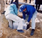 �^�C���J�v�Z���͏d���@BDM