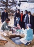 �^�C���J�v�Z���Ə��q�����@BDM