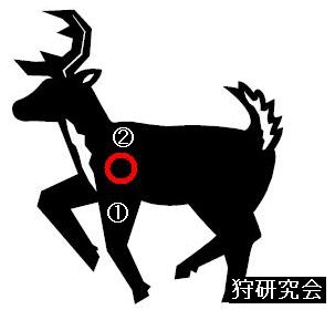 deer 鹿