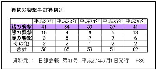 獲物逆襲　いのしし襲撃