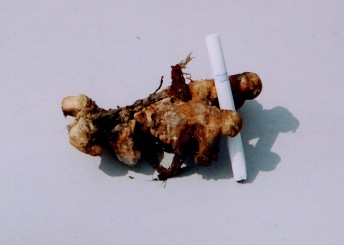 6�������C���[��ؒf���ē���������ߊl�@���摜