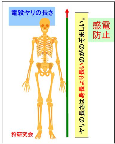 電殺ヤリの長さ　身長よりも長いのが安全