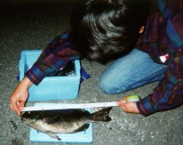 ���W�i�@AOL�F�l�@���́@���[���摜