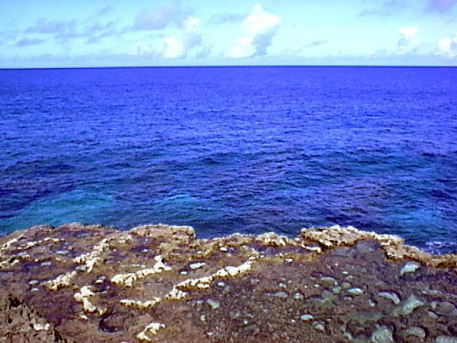 ��哌���̊C